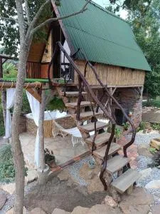 Glamping el nido - Cañaveral