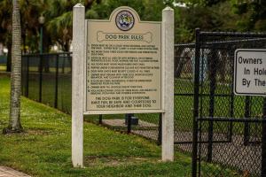 Designer spot - No Extra Fees - Palm Wave Says