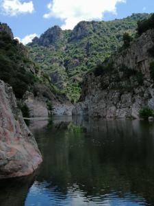 New! La Ginestra,casa vacanze bifamiliare in montagna-Seulo Sardegna