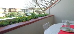 La Terrazza al 12 - Casa Casoni