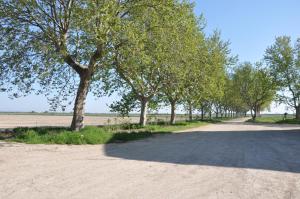 Appartements Mas d'yvan : photos des chambres