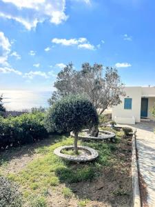 Aggelikis Cycladic Villa by Hostandros