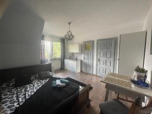 Apartamenty i pokoje u Staszelów