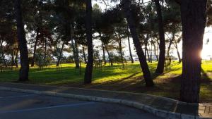 Apartment Kastanija with Balcony and Sea View