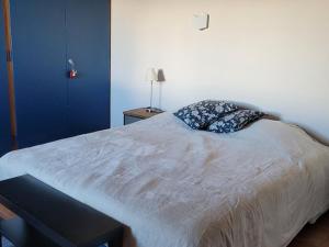 Chalet confort 10 pers, proche pistes, jardin, BBQ, wifi - FR-1-733-142