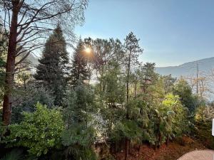 Quiet Lake Apartment