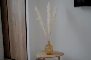 Appart'hotels Chateau de l'insolas : photos des chambres