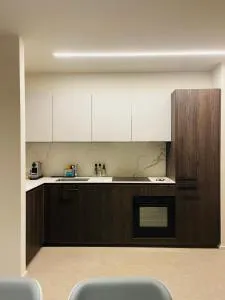 Appartamento di lusso a due passi da TASIS - 比戈尼奥