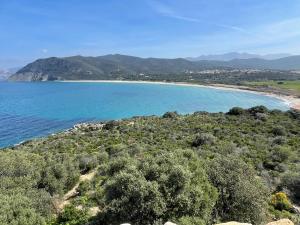 Appartements Appartement Dolce Farniente Corse Lozari : Appartement 1 Chambre