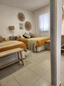 APART 3 - TERRA MARIA