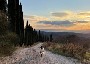 Il Giardino degli Ulivi