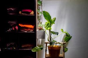 Casa estilo cabaña 4 personas