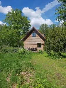 Holiday Home Countryside, Langbroek / Doorn - دورن