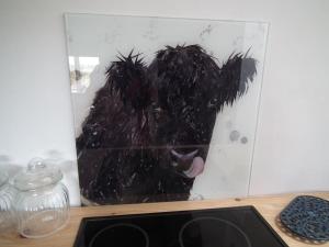 Borrowmoss Bothy, Charming & Characterful property, Wigtown