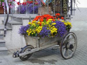 Pension Villa Claudia Augusta