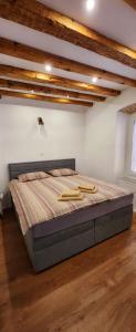 Apartma Nicole 