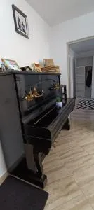 Piano Apartament - Păltinoasa