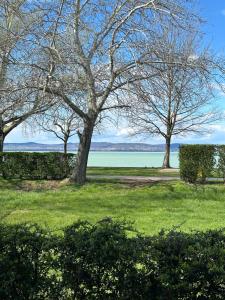 Waterfront Apartmanok