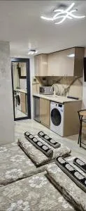 нов модерен ! Studio Apartment Dreams 2! - 泽拉夫纳