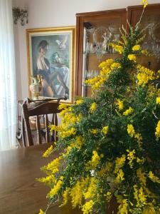 Amarea holiday home Sorrento