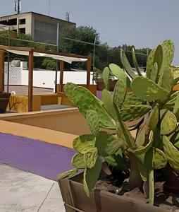 2.Corazón del centro histórico GDL