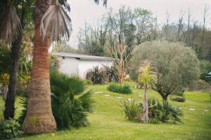 Villas Villa Bet Loc 14 personnes : photos des chambres