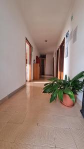 Apartman Pogled na more