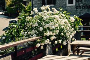 Hotels Hotel du Chateau : photos des chambres