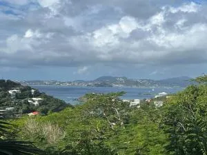 Fiesta - Tortola Island