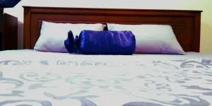 Swallow bird cottage 49s AC 450 meters to the beach excellent for surfing - Kapparatota