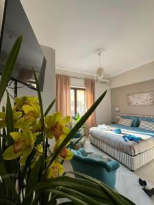 Seasuntour - B&B Over the World