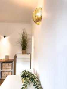 Central Retreat Apartments