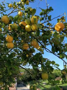 Hotel Su Nuraxi img64