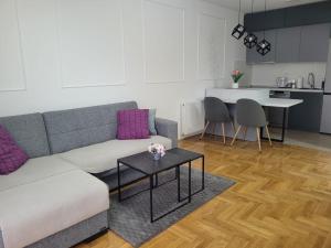 Apartman NS PRIVATE PARKING