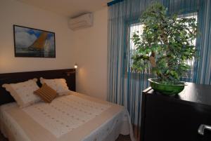 Appartements IPANEMA Residence Le Vendome : photos des chambres