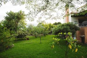 Litochoro Achilleas & Charas Summer House