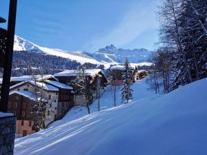 Résidence Camarine - La Camarine 55 - Joli studio divisible, ski aux pieds MAE-3611