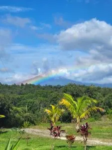 Hacienda en Los Volcanes - Guayabal