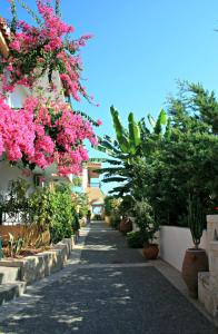 Minoica Beach Apartments Heraklio Greece