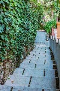 Casa Silvana, Capri - Relaxando en el verde