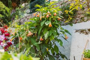 Casa Silvana, Capri - Relaxando en el verde