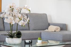 Sun Hills Panoramic Views