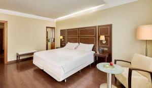 Standard Double or Twin Room room in NH Gran Hotel Casino de Extremadura