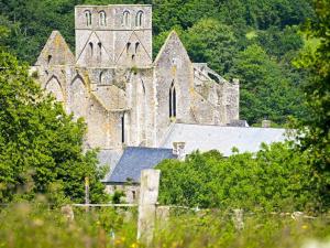 Maisons de vacances Gite Le Chevalier : photos des chambres