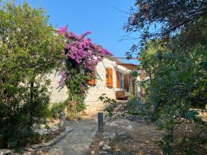 Holiday house with a parking space Hvar - 22224