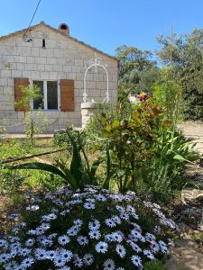 Holiday house with a parking space Hvar - 22224