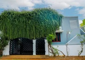 The Peaceful place - Chettinadu