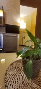 Apartment room in Eschilo Luxury House