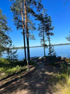 Käpälämäki puhtaan veden äärellä omassa rauhassa