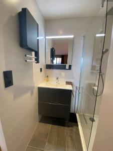 Appartement bas de chalet